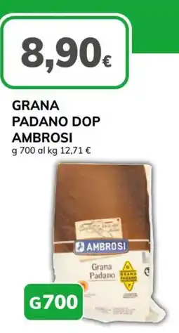 Basko Grana Padano DOP Ambrosi offerta