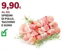 Basko Spiedini di pollo, tacchino e suino offerta