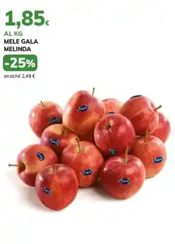 Basko Mele Gala Melinda offerta