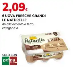 Basko Uova fresche grandi Le Naturelle offerta