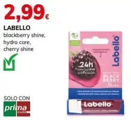 Basko Labello blackberry shine offerta