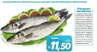 Iper Super Conveniente Spigole offerta