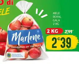 SpesAmica Mele royal gala offerta