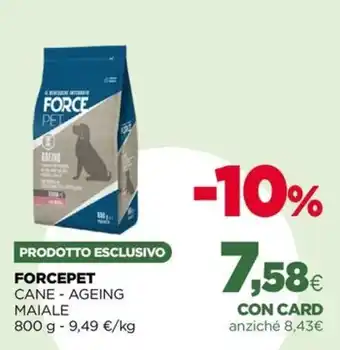 Forcepet cane - ageing maiale