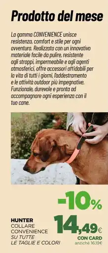 L´Isola dei Tesori Hunter Collare Convenience offerta