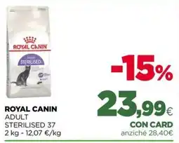L´Isola dei Tesori Royal Canin Adult Sterilised 37 offerta