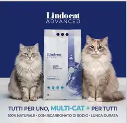 L´Isola dei Tesori Lindocat Advanced Multi-Cat + offerta
