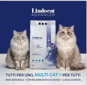 Lindocat Advanced Multi-Cat +
