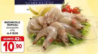 Mazzancolle tropicali