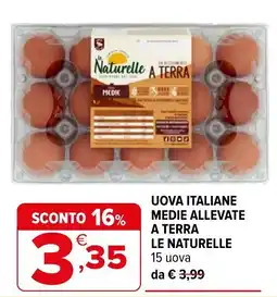 Iperal Uova italiane allevate a terra le naturelle offerta