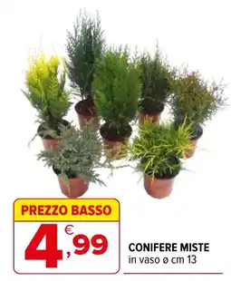 Iperal Conifere Miste offerta