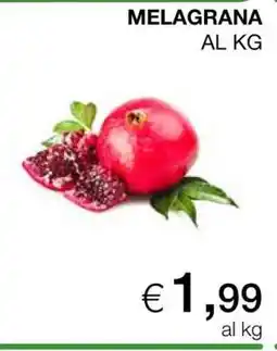 Coop Melagrana offerta