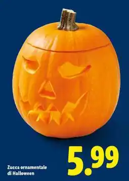 Lidl Zucca ornamentale di Halloween offerta