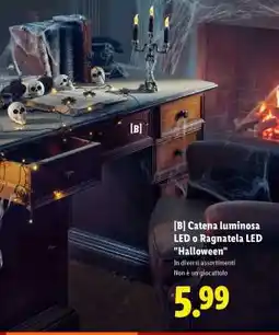 Lidl Catena luminosa LED o Ragnatela LED Halloween offerta