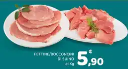 Conad Fettine/Bocconcini di Suino offerta
