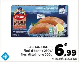 Conad CAPITAN FINDUS offerta