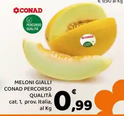 Conad MELONI GIALLI CONAD PERCORSO QUALITÀ offerta