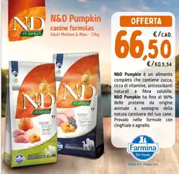 Pet Store Conad N&D Pumpkin offerta