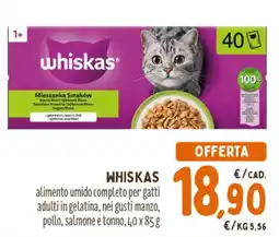 Pet Store Conad Whiskas alimento umido completo per gatti adulti in gelatina offerta