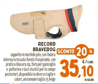 Record Bravedog cappotto