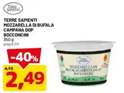 DPiù Terre Sapienti Mozzarella di Bufala Campana D.O.P. Bocconcini offerta