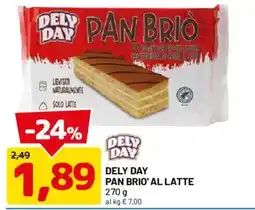DPiù Dely Day Pan Briò al latte offerta