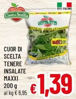 Famila Market Cuor di Scelta tenere insalate Maxxi offerta