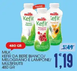 SpesAmica Milk Kefir offerta