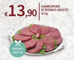 SpeSì Hamburger di bovino adulto offerta