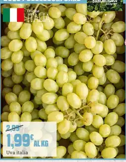 Banco Fresco Uva italia offerta