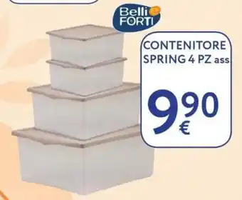 Contenitore Spring Belli e Forti