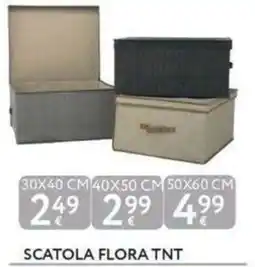 Le Mille Scatola Flora TNT offerta