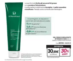 Stanhome Dr.Pierre Ricaud Gel fresco riducente intensivo 14GG offerta
