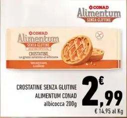 Conad Crostatine senza glutine Alimentum Conad albicocca offerta
