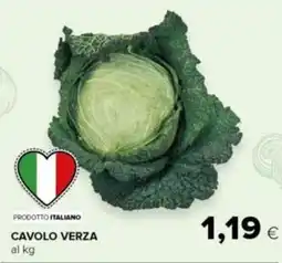 Tigre Amico Cavolo Verza offerta
