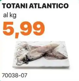 GrosMarket Totani atlantico offerta