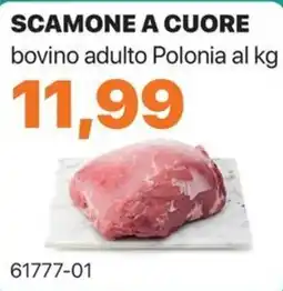 GrosMarket Scamone a cuore bovino adulto Polonia offerta