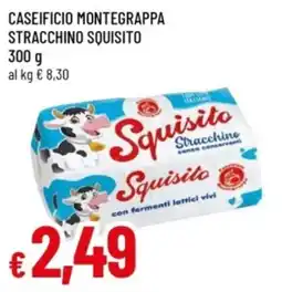 Famila Stracchino Squisito offerta