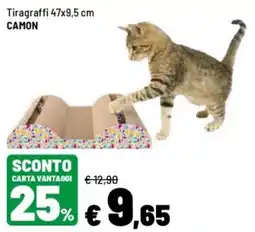Iper La Grande Tiragraffi Camon offerta