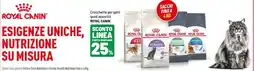 Iper La Grande Crocchette per gatti gusti assortiti ROYAL CANIN offerta