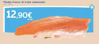 Filetto fresco di trota salmonata