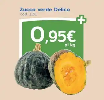 Zucca verde Delica