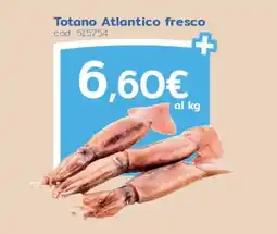 C+C Italmarket Totano Atlantico fresco offerta