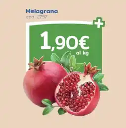 C+C Italmarket Melagrana offerta