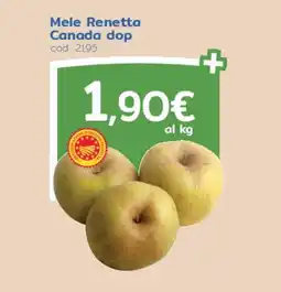 C+C Italmarket Mele Renetta Canada dop offerta