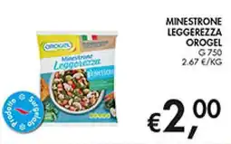 Maxi Coal Minestrone Leggerezza Orogel offerta