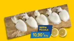 Sapore di Mare Seppia piccola offerta