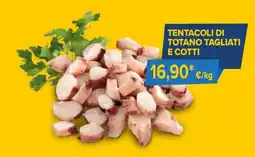 Sapore di Mare Tentacoli di totano tagliati e cotti offerta