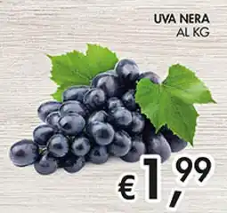 Maxi Coal Uva nera offerta