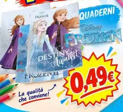Magazzini del Risparmio Quaderni Disney Frozen offerta